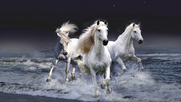 Tranh mã đáo thành công có 3 con ngựa – Tam mã