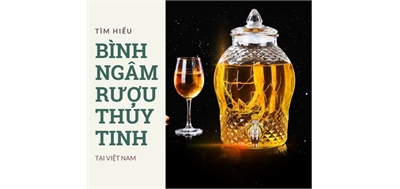 Các loại bình thủy tinh ngâm rượu Việt Nam phổ biến
