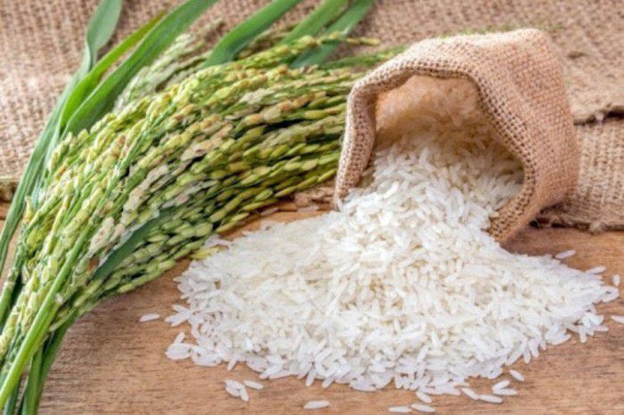 Gạo là đại diện của nền văn minh lúa nước Việt Nam