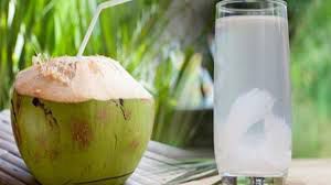 Mẹo ngâm rượu dừa trong bình nhất định bạn phải biết Mẹo ngâm rượu dừa trong bình nhất định bạn phải biết