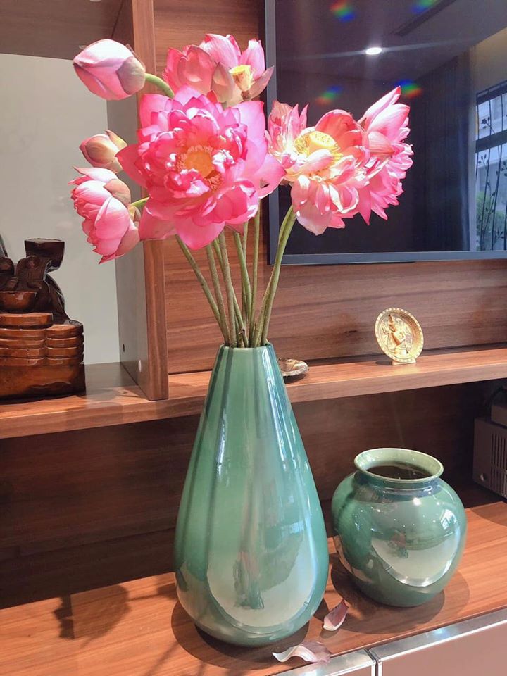 Mua bình hoa gốm sứ trang trí để bàn nghệ thuật phòng khách đẹp giá rẻ, bình hoa màu men sang trọng